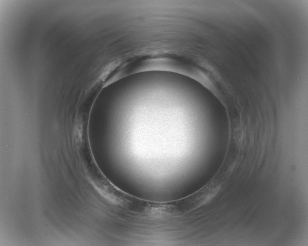 X0000079340072200611251907
