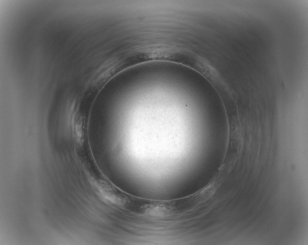 X0000079340074200611251907