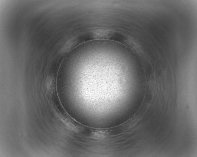 X0000079340079200611251908
