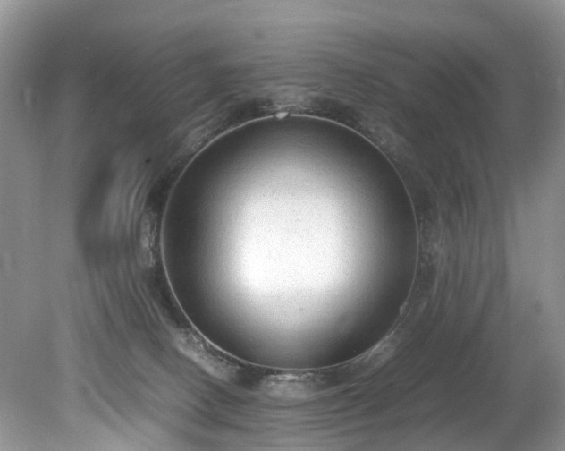 X0000079340082200611251908