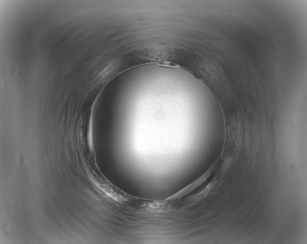 X0000079340092200611251908