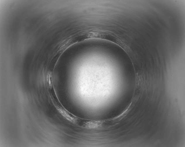 X0000079340094200611251908