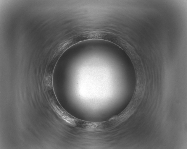 X0000079340096200611251908