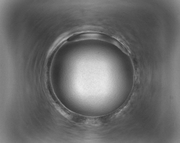 X0000079340101200611251907
