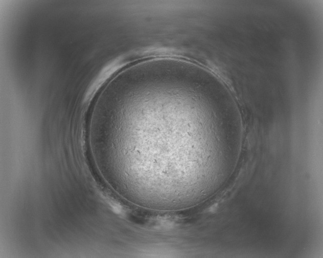 X0000079340103200611251907