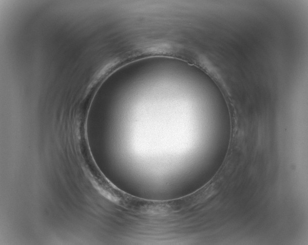 X0000079340106200611251907
