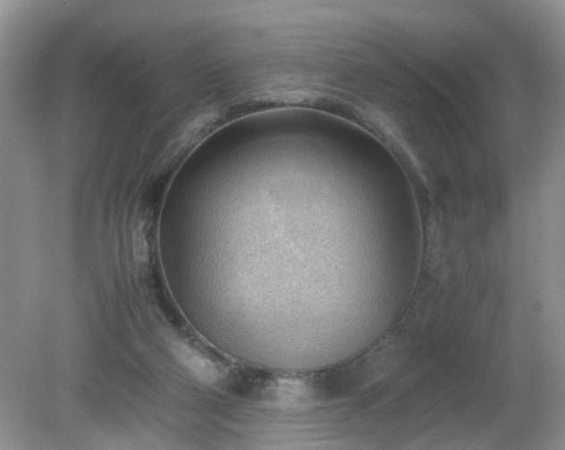 X0000079340114200611251907