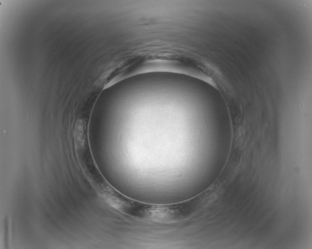 X0000079340121200611251907