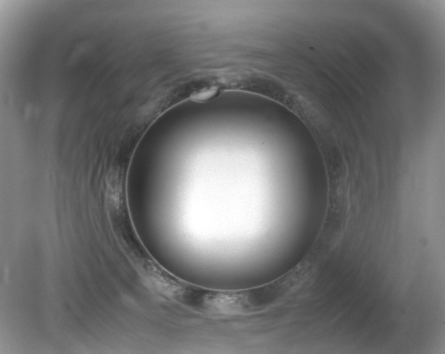 X0000079340129200611251906