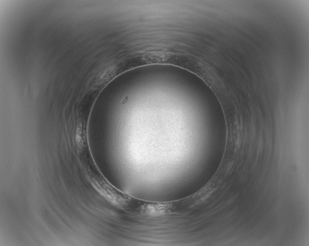 X0000079340134200611251906