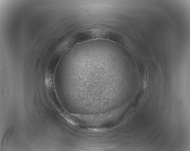 X0000079340137200611251906