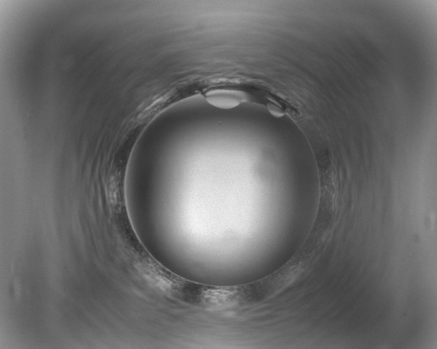X0000079340139200611251906