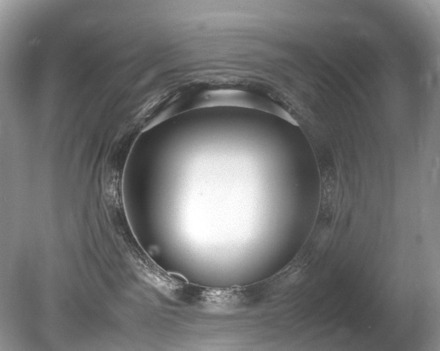 X0000079340141200611251906