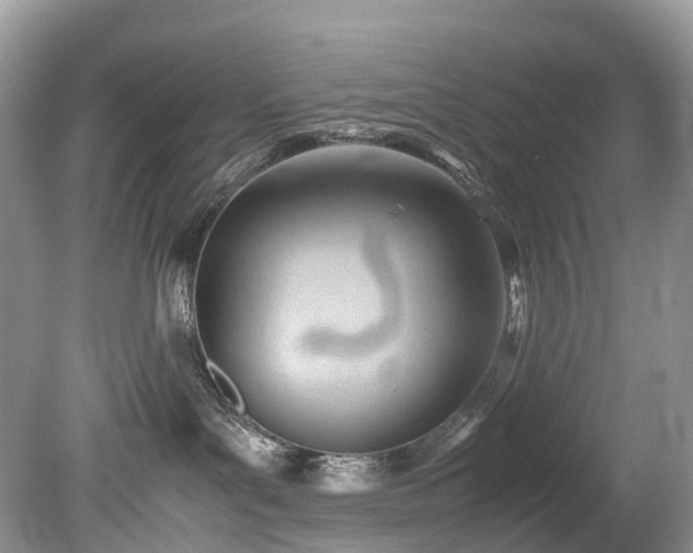 X0000079340143200611251906