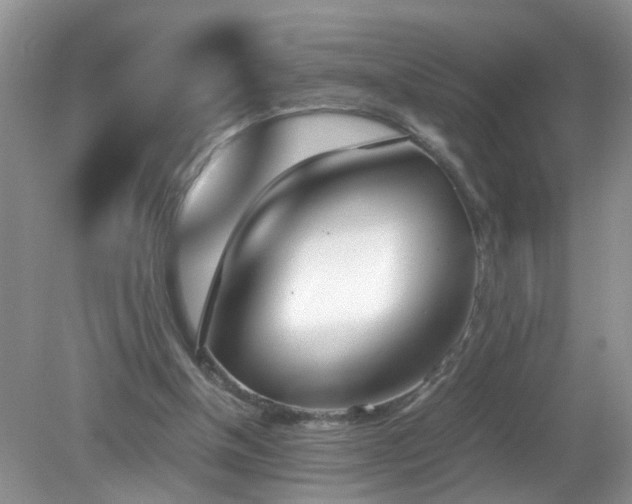 X0000079340154200611251906