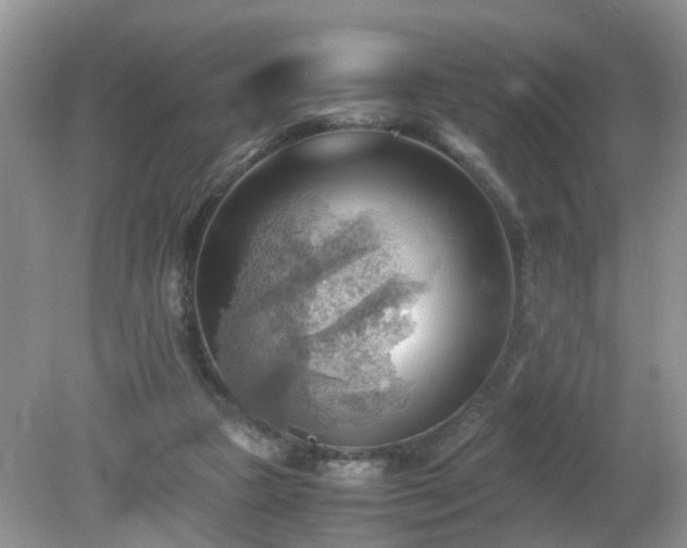 X0000079340161200611251906
