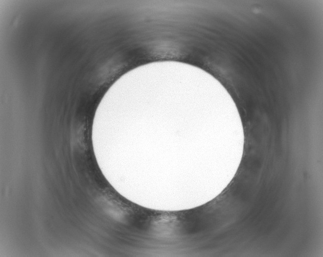X0000079340162200611251906