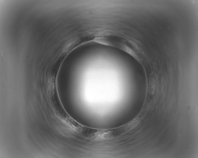 X0000079340172200611251906