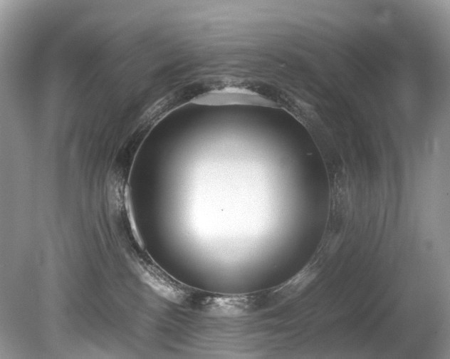 X0000079340188200611251906