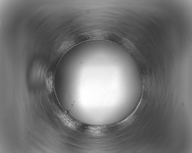 X0000079340190200611251906