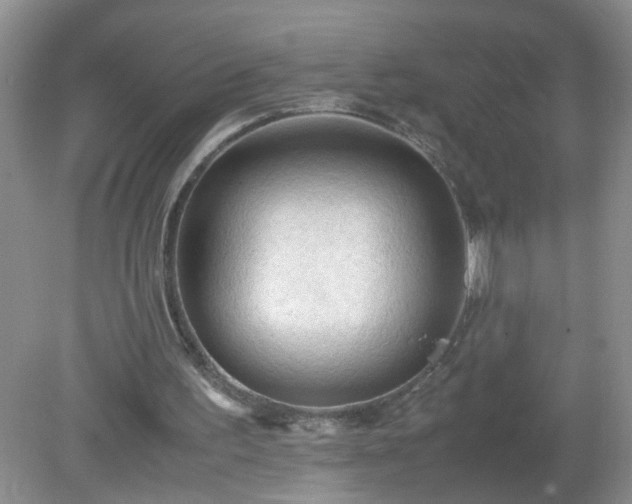 X0000079340195200611251905
