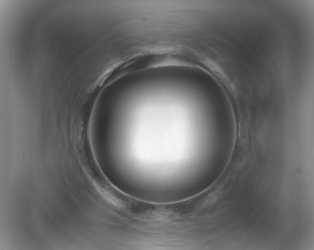 X0000079340201200611251905