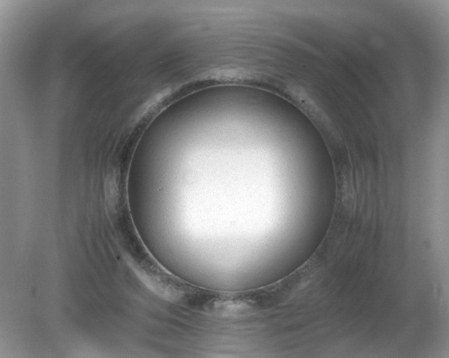 X0000079340208200611251905