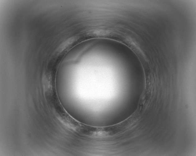 X0000079340212200611251905