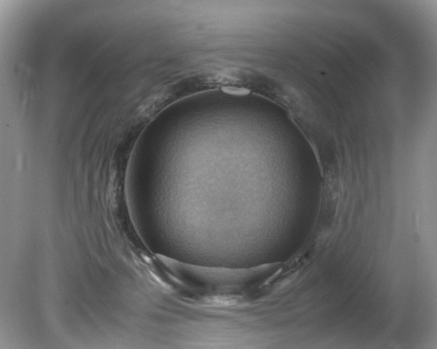 X0000079340223200611251905