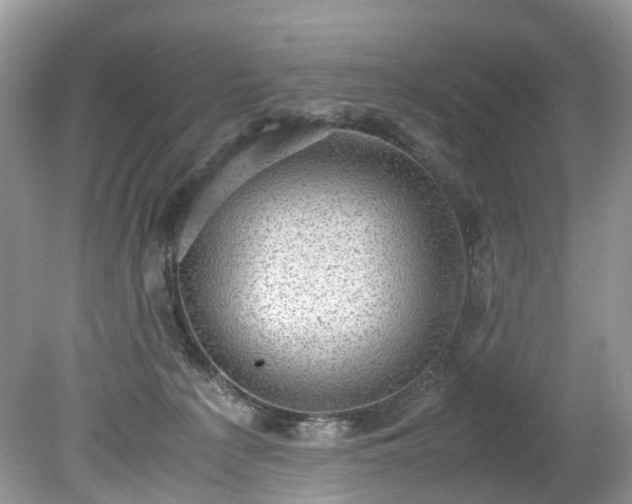 X0000079340225200611251905