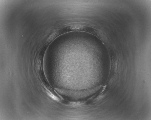 X0000079340227200611251905