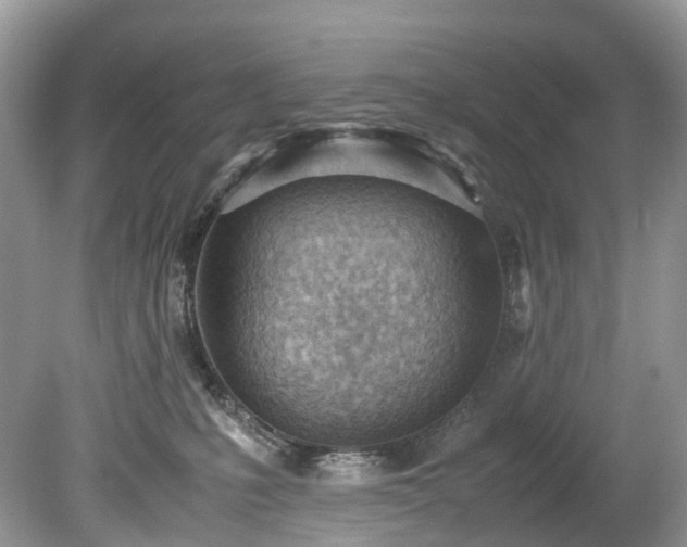 X0000079340231200611251905