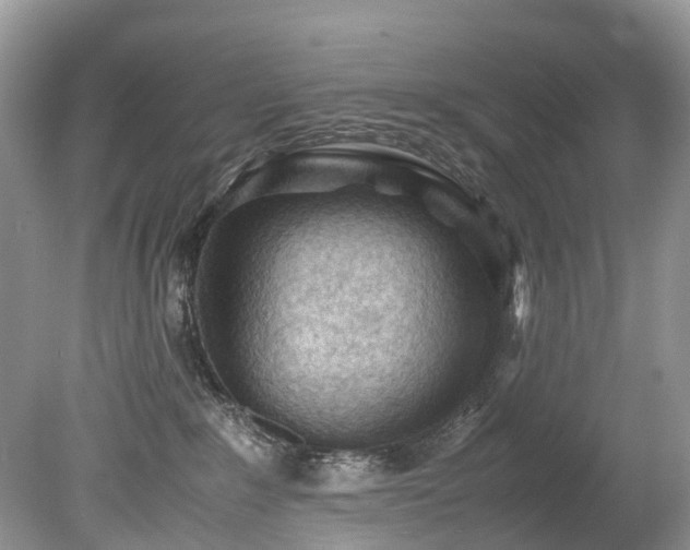 X0000079340235200611251905