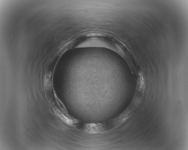 X0000079340239200611251905