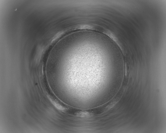 X0000079340253200611251904