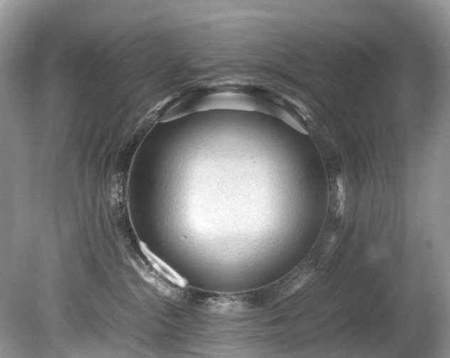 X0000079340284200611251905