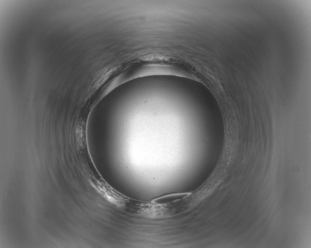 X0000079340288200611251905