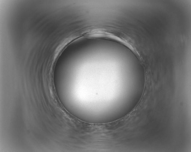 X0000079340289200611251904
