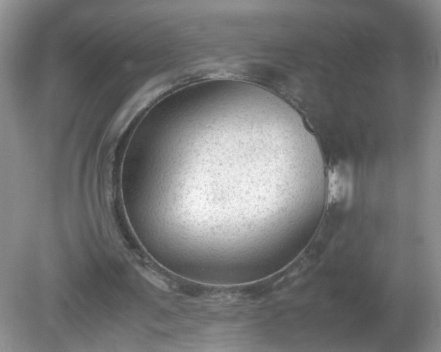 X0000079340291200611251904