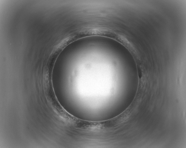 X0000079340306200611251903