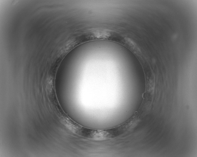 X0000079340321200611251903