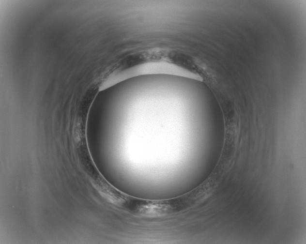 X0000079340323200611251903