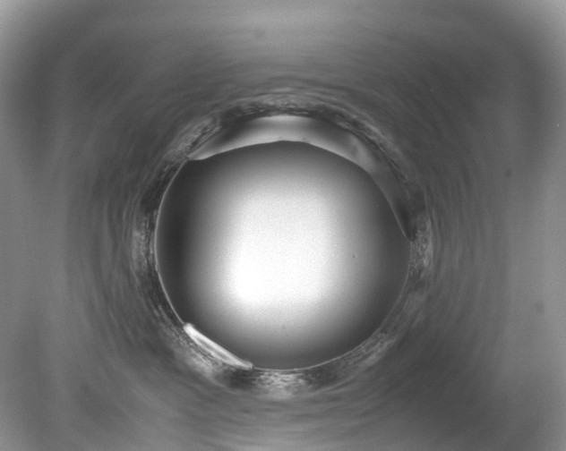 X0000079340333200611251903