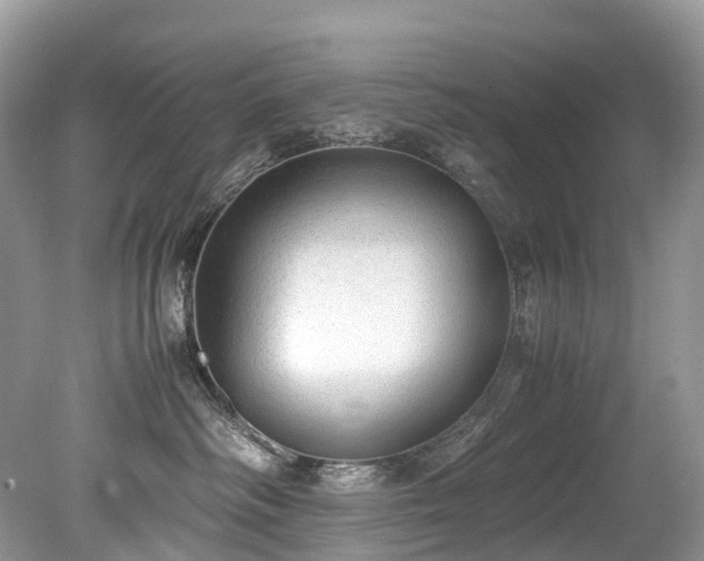 X0000079340334200611251903