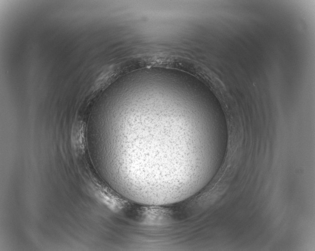 X0000079340336200611251903