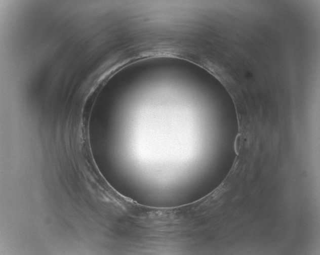 X0000079340338200611251902