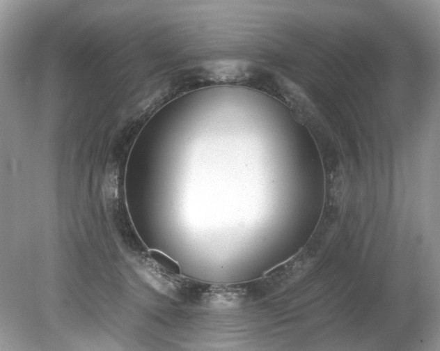 X0000079340368200611251903