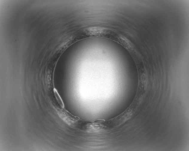 X0000079340372200611251903