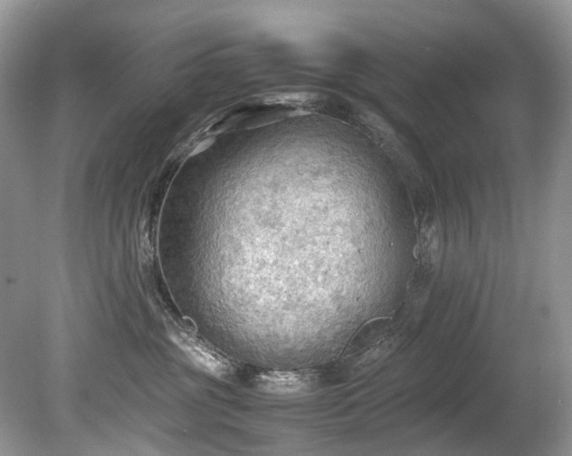 X0000079340381200611251903