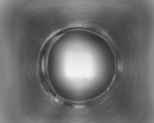 X0000079340388200611251902